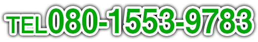 080-1553-9783